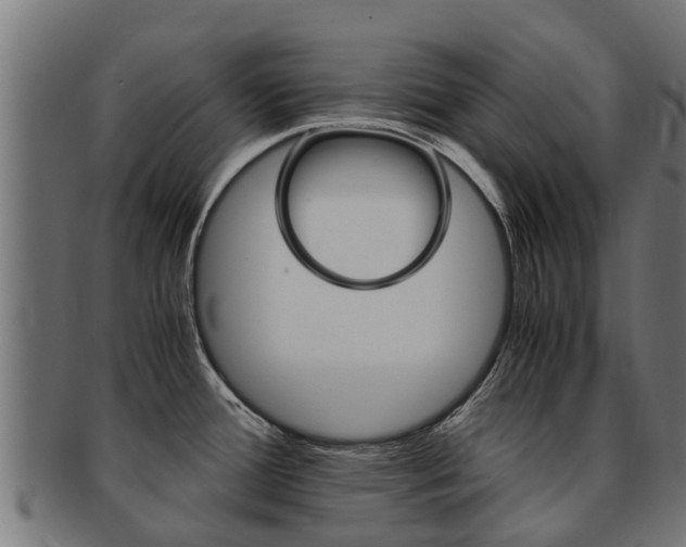 X0000091981388200709061143