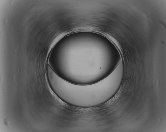 X0000091981389200709061143