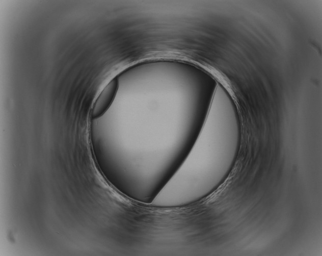 X0000091981390200709061143