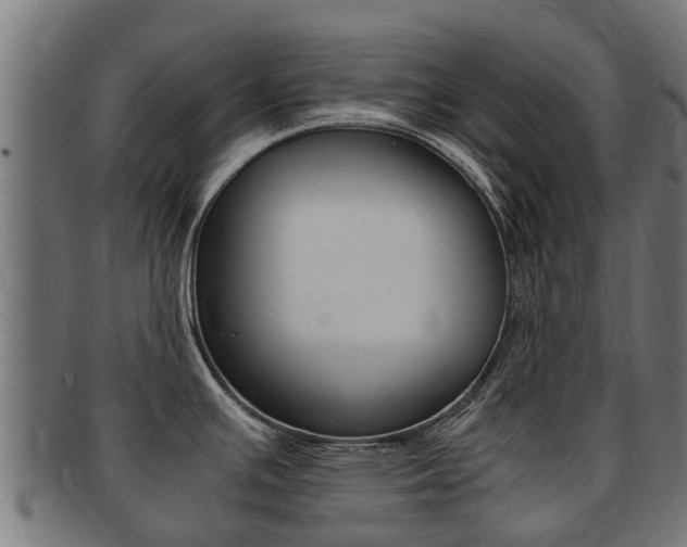 X0000091981391200709061143