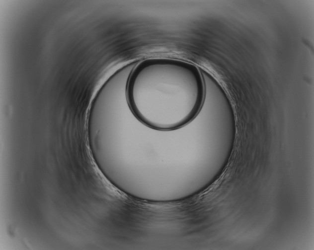 X0000091981392200709061143