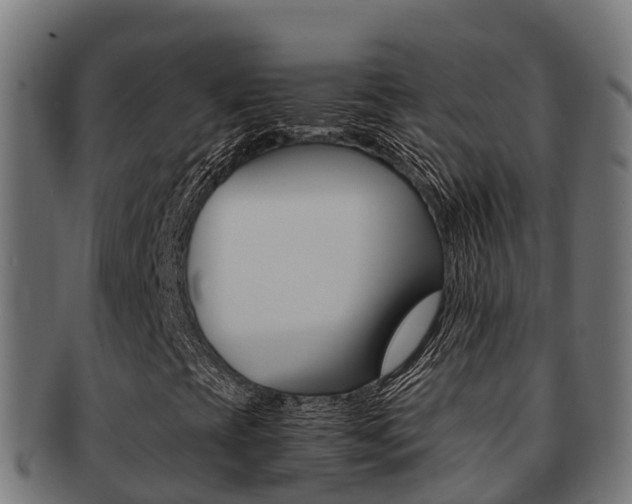X0000091981393200709061143