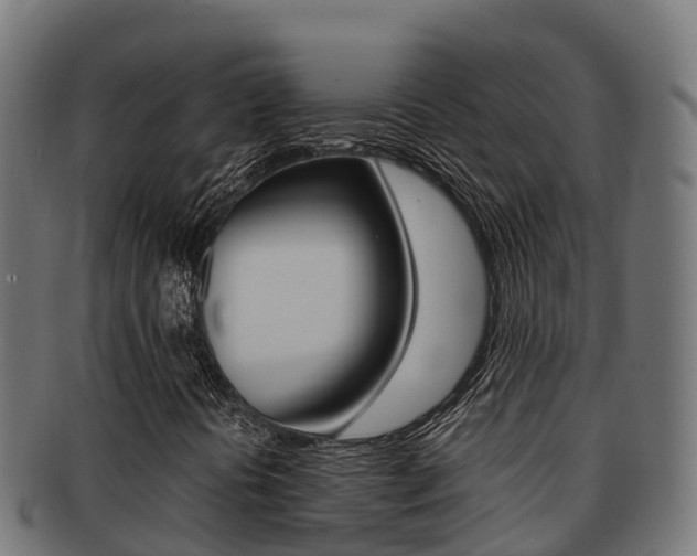 X0000091981394200709061143