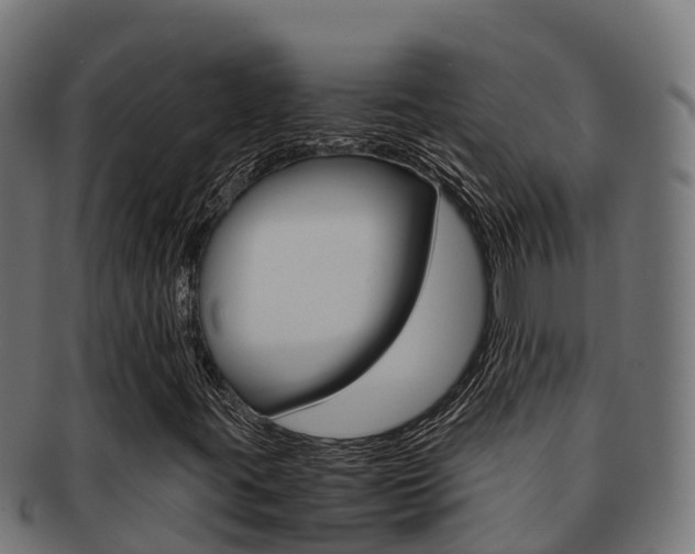 X0000091981395200709061143