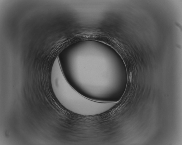 X0000091981396200709061143