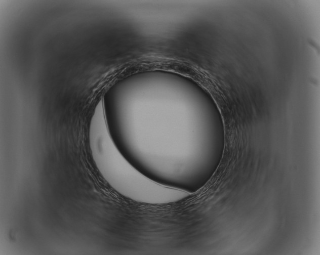 X0000091981397200709061143