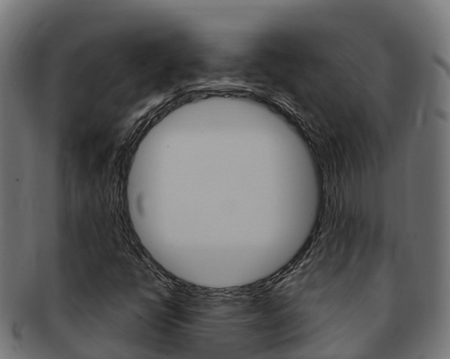 X0000091981398200709061143