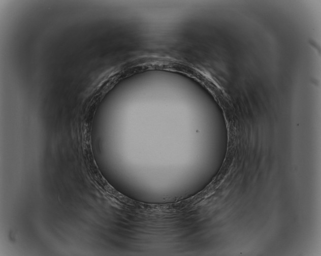 X0000091981399200709061143