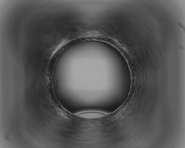 X0000091981400200709061143
