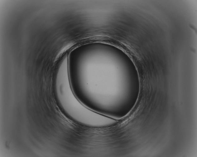 X0000091981402200709061143