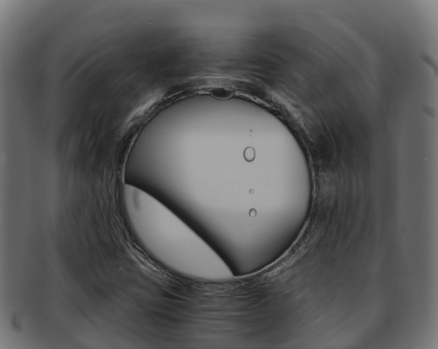 X0000091981403200709061143