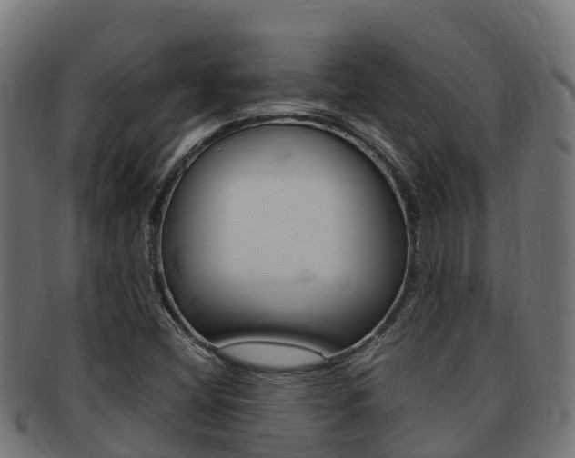 X0000091981404200709061143