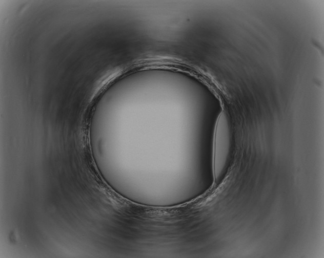 X0000091981405200709061143