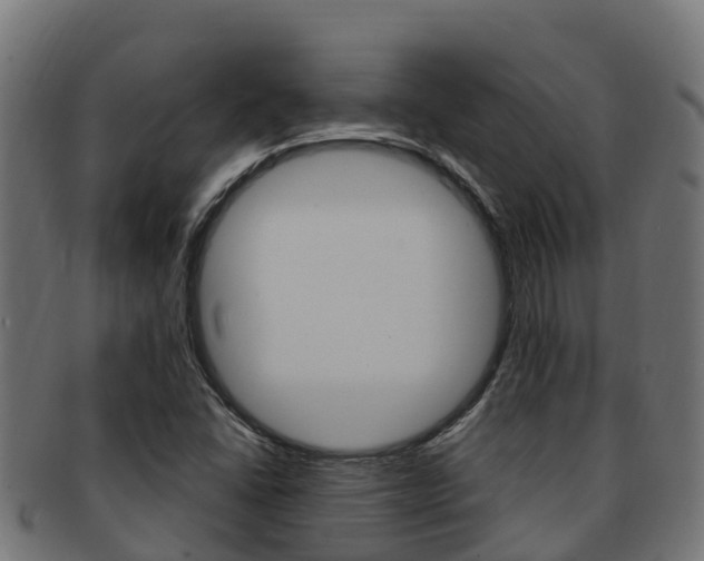 X0000091981406200709061143