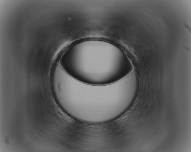 X0000091981408200709061143