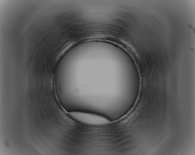 X0000091981409200709061143