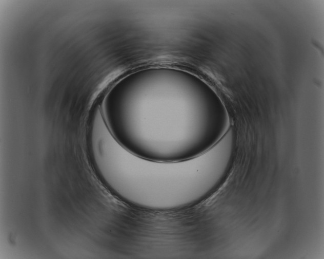 X0000091981410200709061143