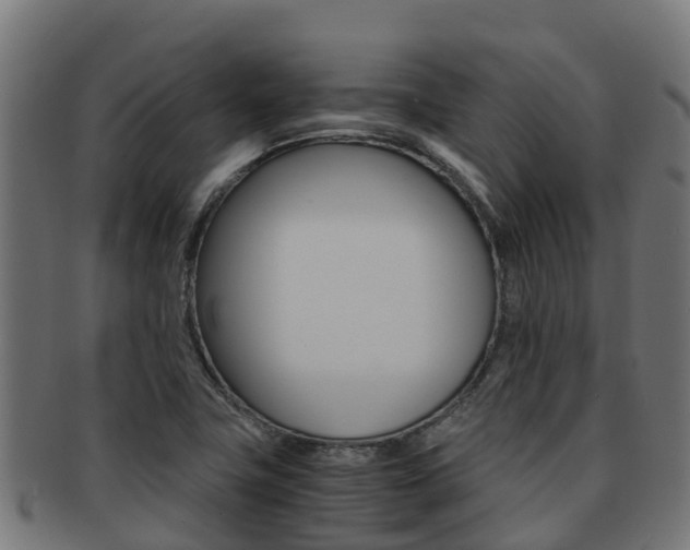 X0000091981411200709061143