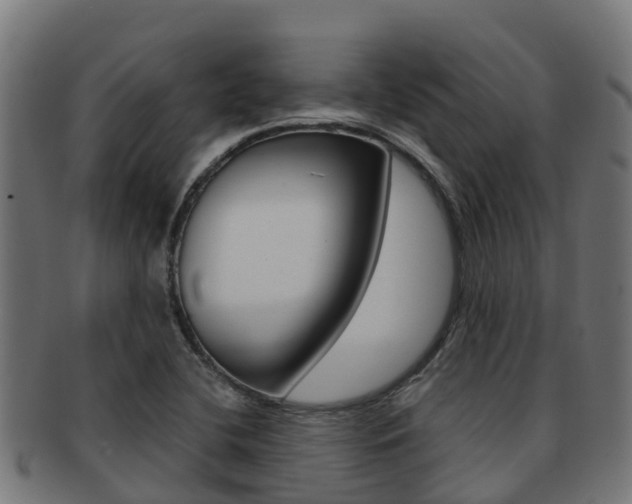 X0000091981412200709061143
