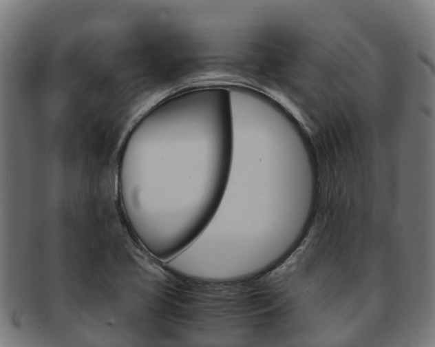 X0000091981413200709061143