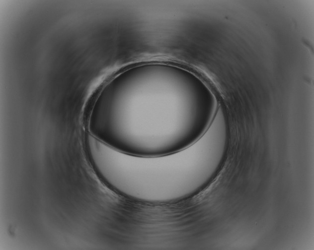 X0000091981414200709061143