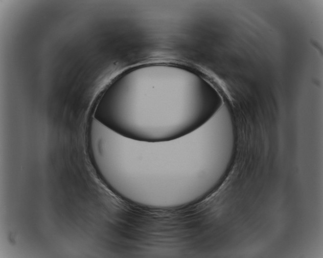 X0000091981415200709061143