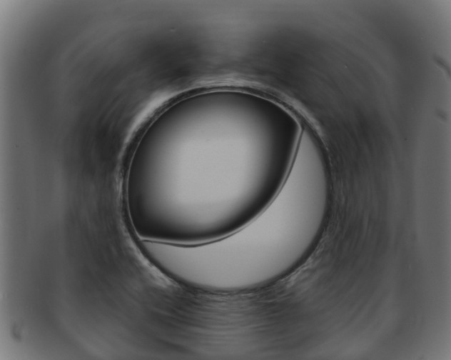 X0000091981416200709061143