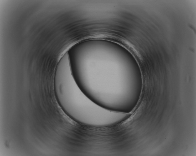 X0000091981417200709061143
