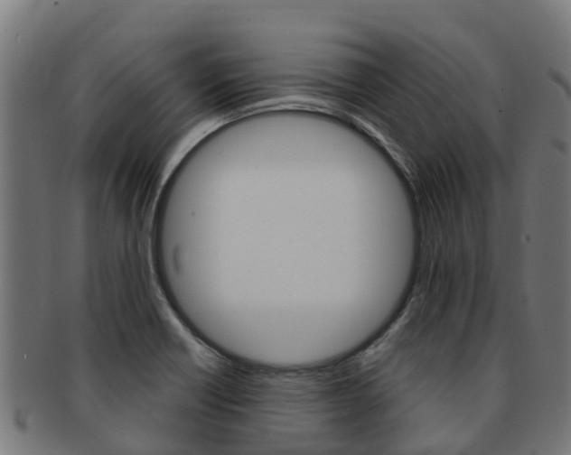 X0000091981418200709061143