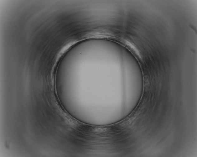X0000091981419200709061143