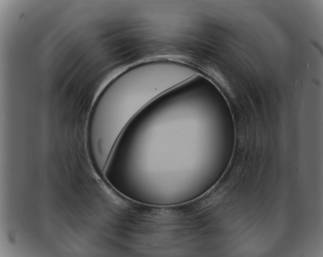 X0000091981420200709061143