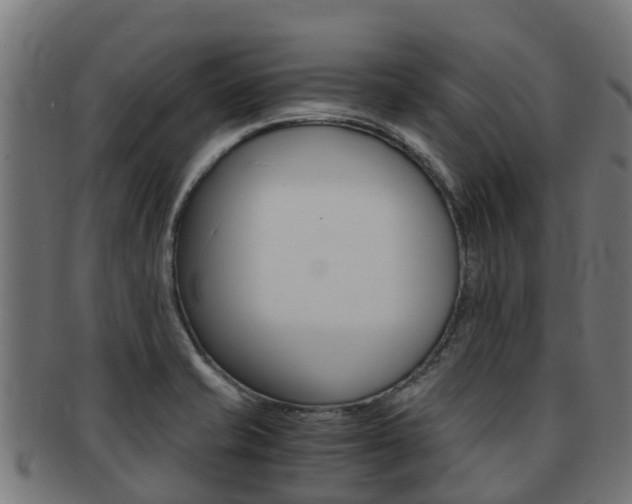 X0000091981421200709061143