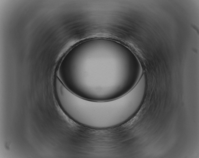 X0000091981422200709061143