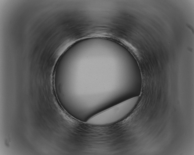 X0000091981423200709061143