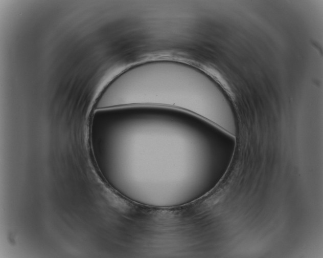 X0000091981424200709061143