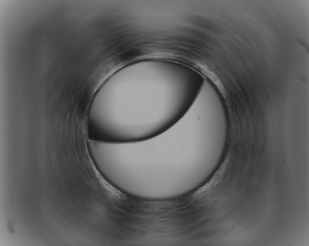 X0000091981425200709061143
