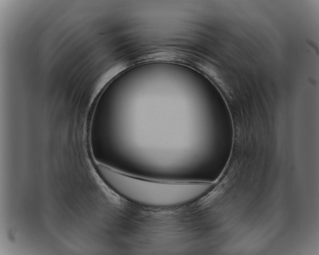 X0000091981426200709061143