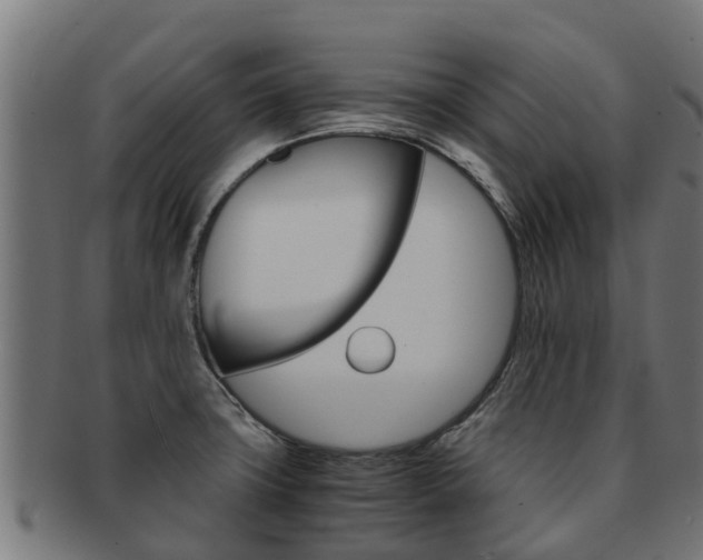 X0000091981427200709061143