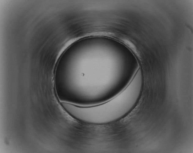 X0000091981428200709061143