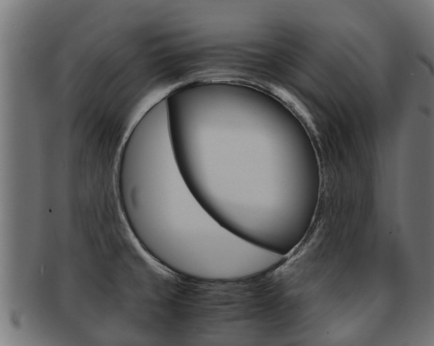 X0000091981429200709061143