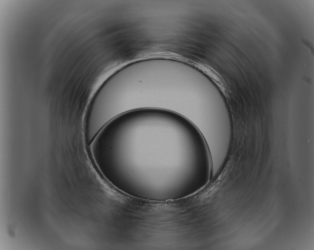 X0000091981430200709061143