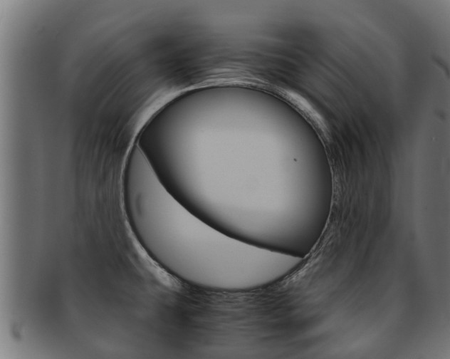 X0000091981431200709061143