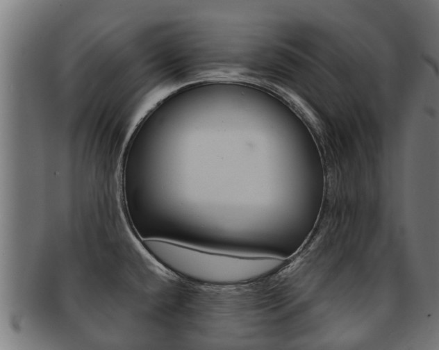X0000091981432200709061143