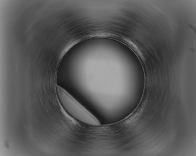 X0000091981433200709061143