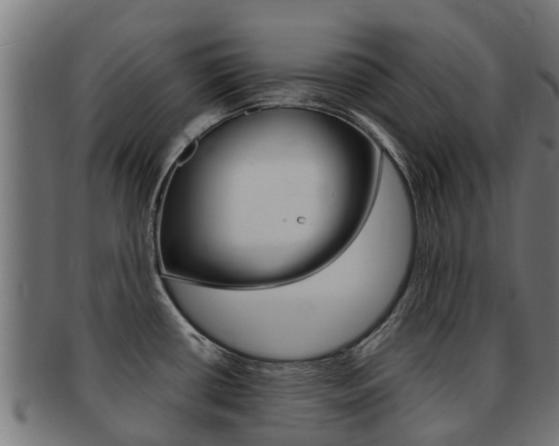 X0000091981434200709061143
