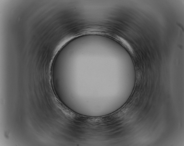 X0000091981435200709061143