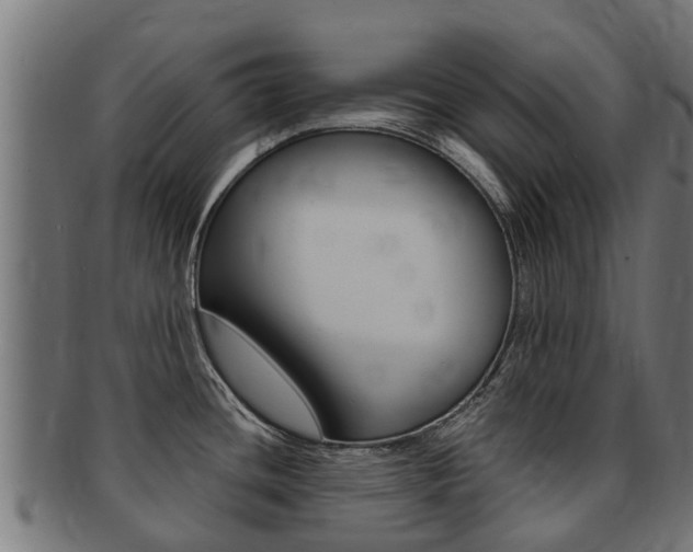 X0000091981436200709061143