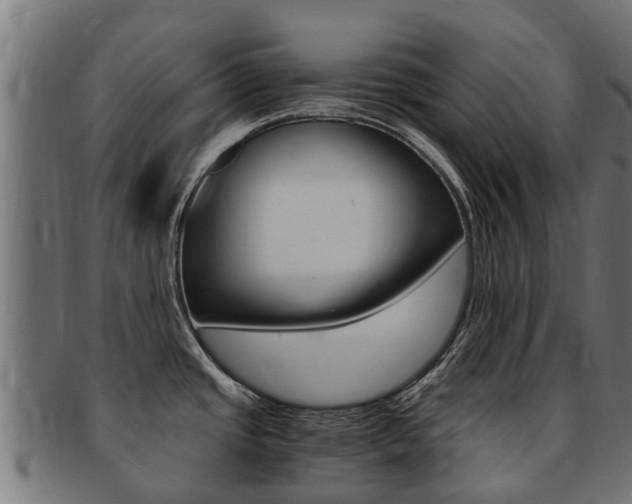 X0000091981437200709061143