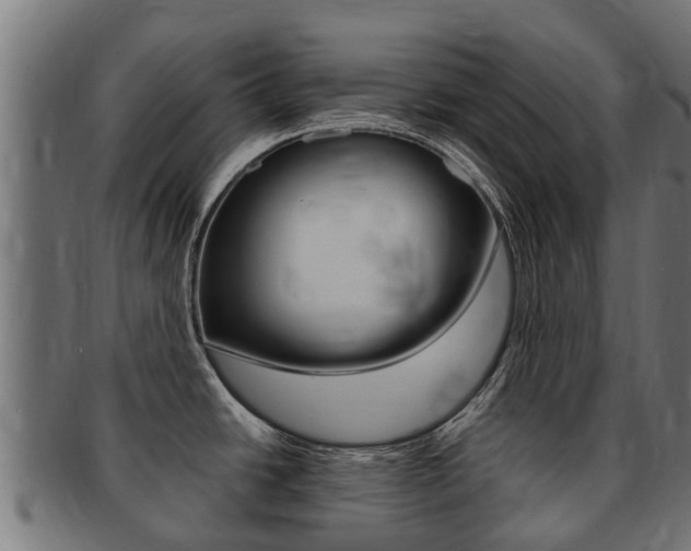 X0000091981438200709061143