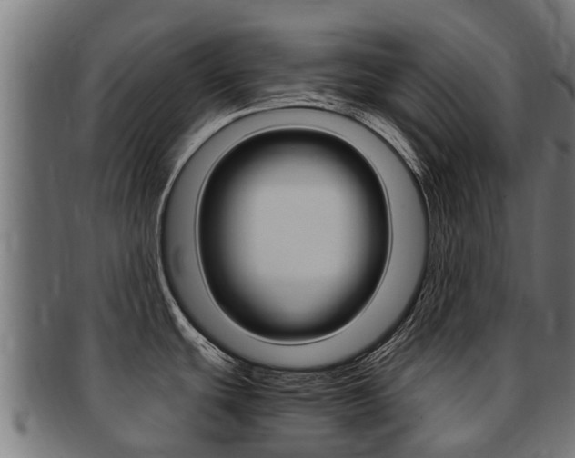 X0000091981439200709061143